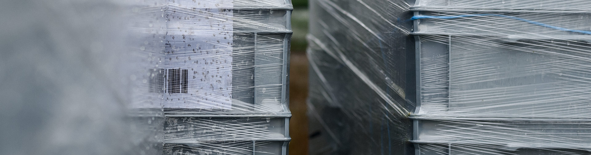 Foto Lagerung von Verpackungssystem